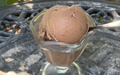 Five Amazing WFPB Gelato Flavors