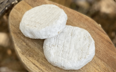 Aged Camembert