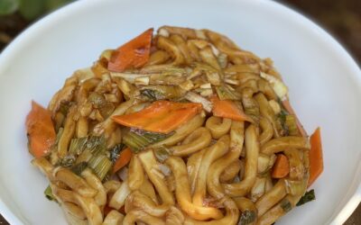 Udon Noodle Bowl