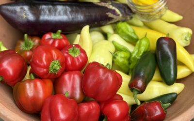 Vegetable Garden Spray