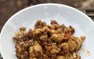 Orange “Chicken”